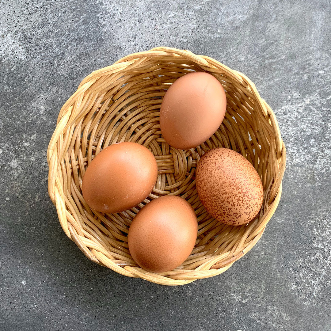 FREE Range Eggs