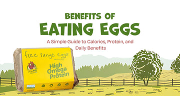 Benefits of Eating Eggs